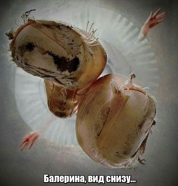 Балерина ВИд снизу