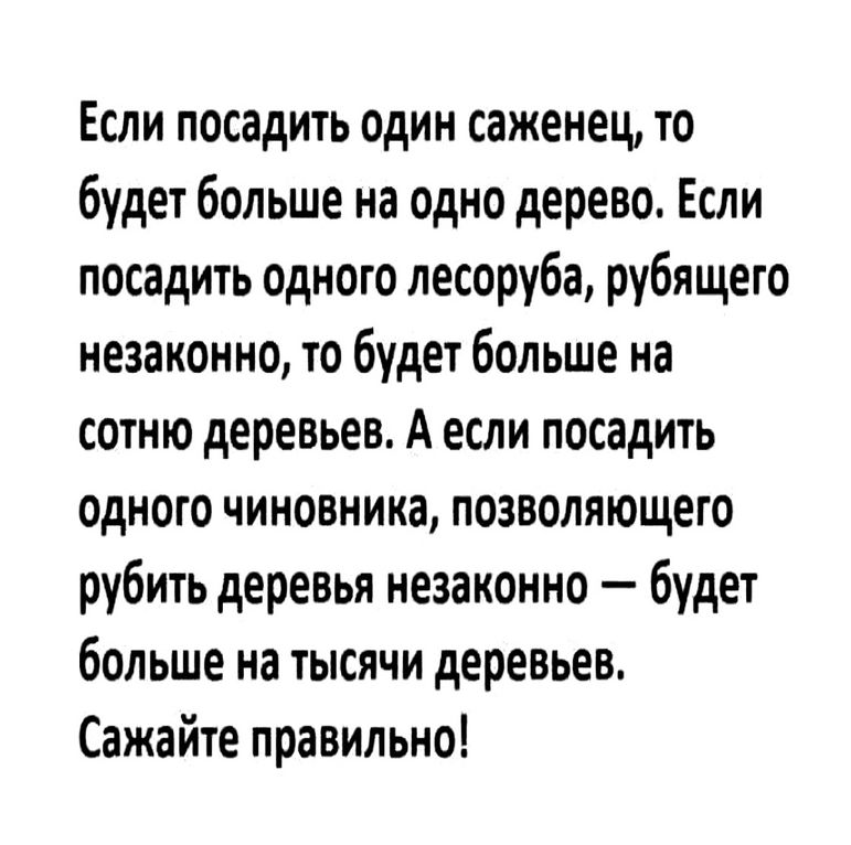 Если посадить один саженец то будет больше на одно дерево Если посадить одного лесоруба рубящего незаконно то будет больше на сотню деревьев А если посадить Одного чиновника позволяющего рубить деревья незаконно будет больше на тысячи деревьев Сажайте правильно