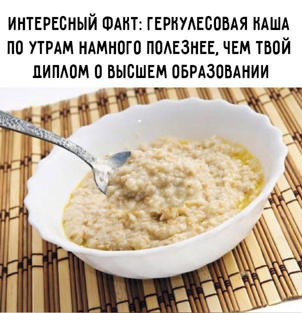 ИНТЕРЕСНЫЙ ФАНТ ГЕРНУАЕООВАЯ НАША ПО УТРАМ НАМНОГО ПОАЕЗНЕЕ ЧЕМ ТВОЙ ЦИПАОМ О ВЫСШЕМ ОБРАЗОВАНИИ п и Ё С