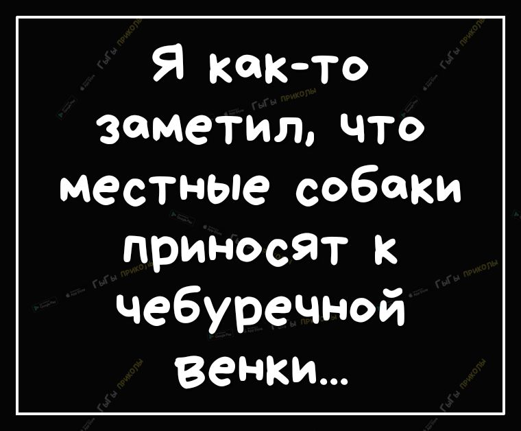 Я както заметилчто местные собаки приносят к чебуречной венки
