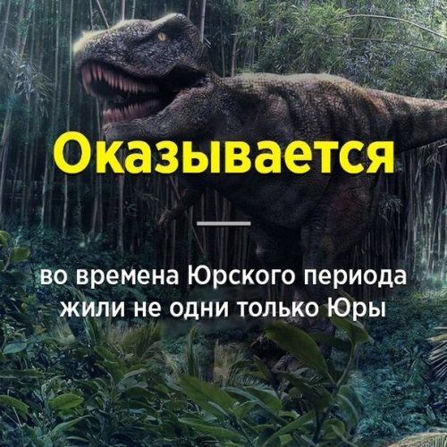 Ёазывается Ён _ и не одни толыюЮЕы