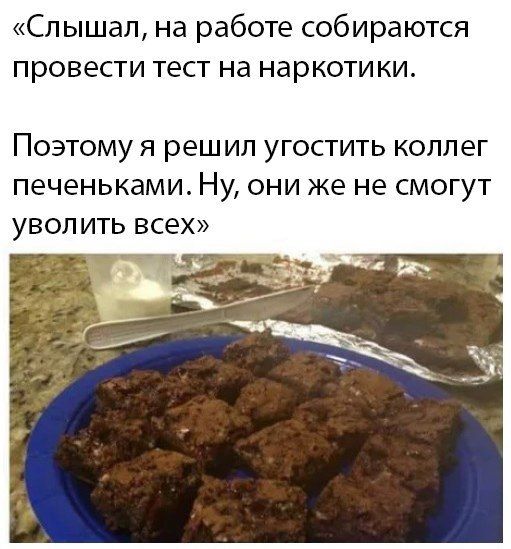 Слышал на работе собираются провести тест на наркотики ПОЭТОМУ Я решил УГОСТИТЬ КОЛЛЕГ ПЭЧЭНЬКЭМИ НУ ОНИ же не СМОГУТ УВОЛ ИТЬ ВСЕХ