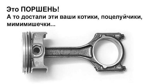 Это ПОРШЕНЬ А то достали эти ваши котики поцелуйчики мимимишечки