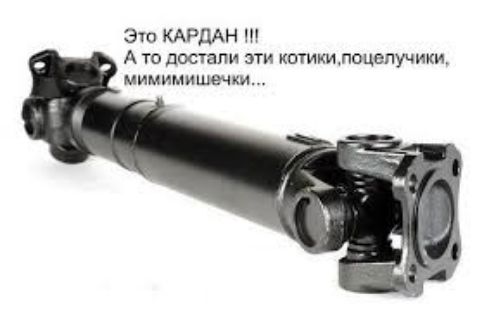 это КАРДАН А то достали эти котикилоцепучики мимимишечки