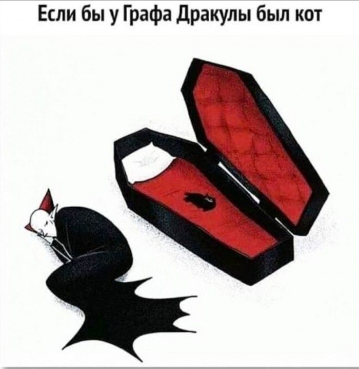 Если бы у Графа Дракулы был кот