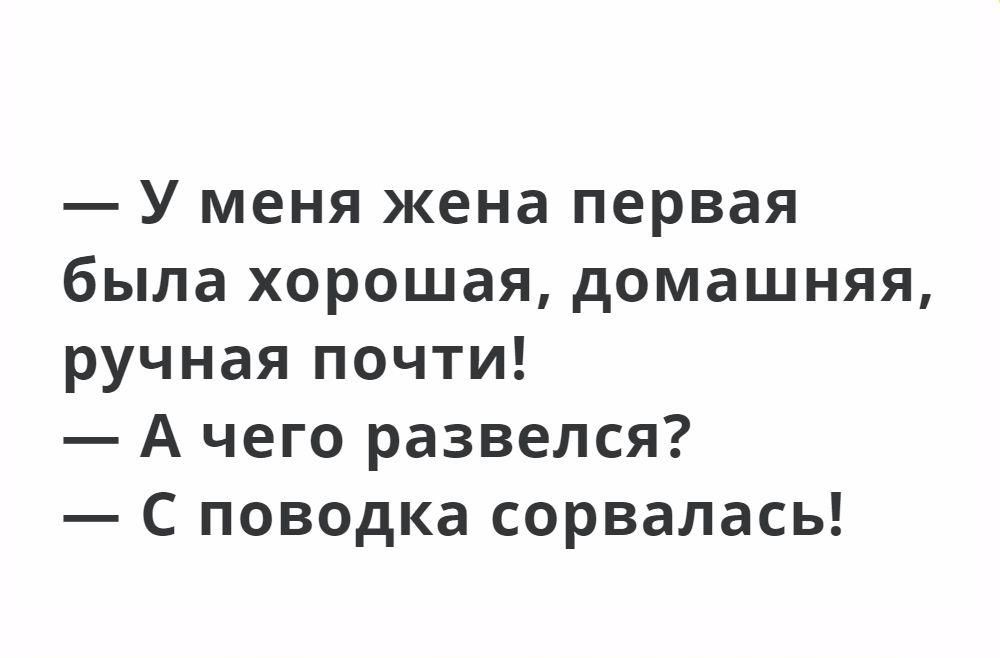 У меня жена первая была хорошая домашняя ручная почти А чего развелся С поводка сорвалась