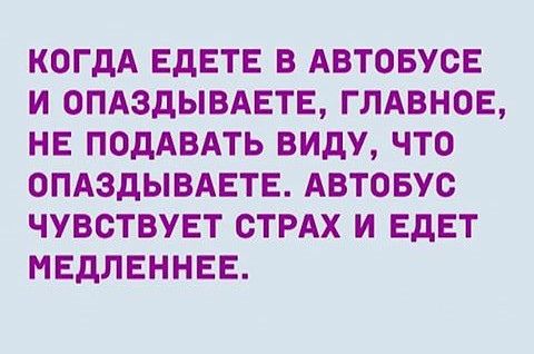 КОГДА ЕДЕТЕ В АВТОБУСЕ И ОПАЗДЫВАЕТЕ ГЛАВНОЕ НЕ ПОДАВАТЬ ВИДУ ЧТО ОПАЗДЫВАЕТЕ АВТОБУС ЧУВСТВУЕТ СТРАХ И ЕДЕТ МЕДЛЕННЕЕ