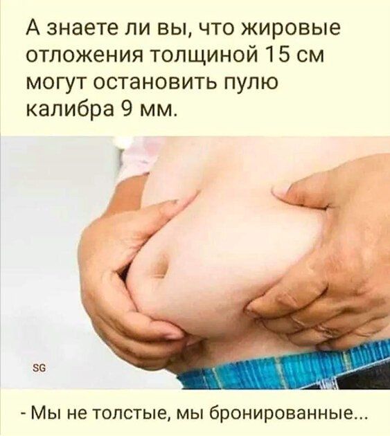 А знаете ли вы что жировые отложения толщиной 15 см могут остановить пулю калибра 9 мм 56 Мы не толстые мы бронированные