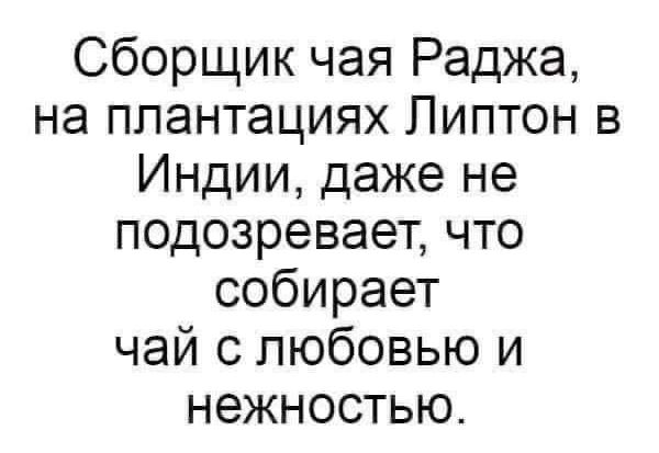 Сборщик чая Раджа на плантациях Пиптон в Индии даже не подозревает что собирает чай с любовью и нежностью