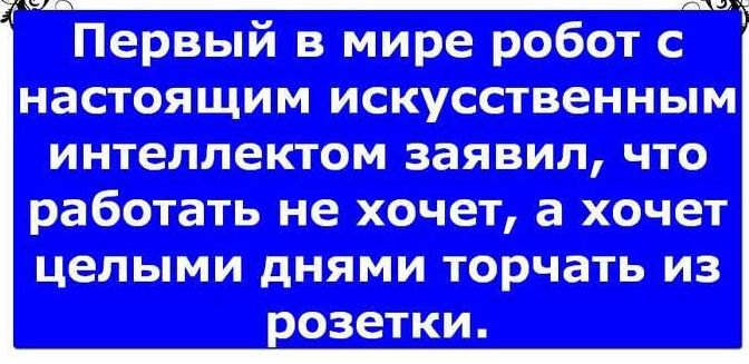 ш житинд ксю ш кошка Щн т