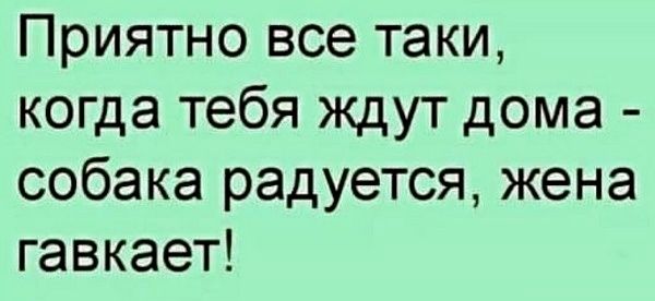 Приятно все таки когда тебя ждут дома собака радуется жена гавкает