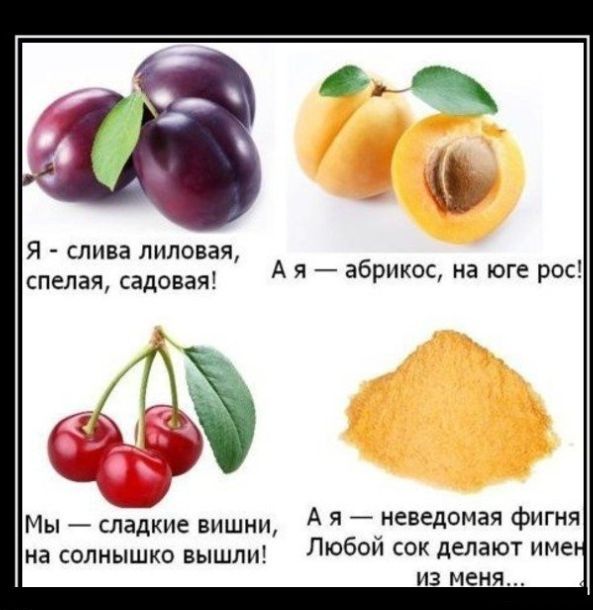 Я слива липовая спелая садовая А я абрикос на юге рос Мы _ сладкие вишни А я уневедомая фигня на солнышко вышли ЛЮБОИ С делают име ИЗ меня
