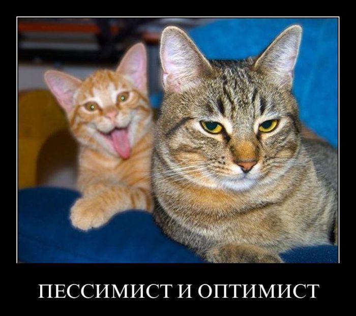 ПЕССИМИСТ И ОПТИМИСТ