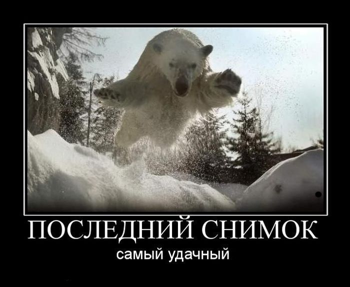 ПОСЛЕДНИЙ снимок самый удачный