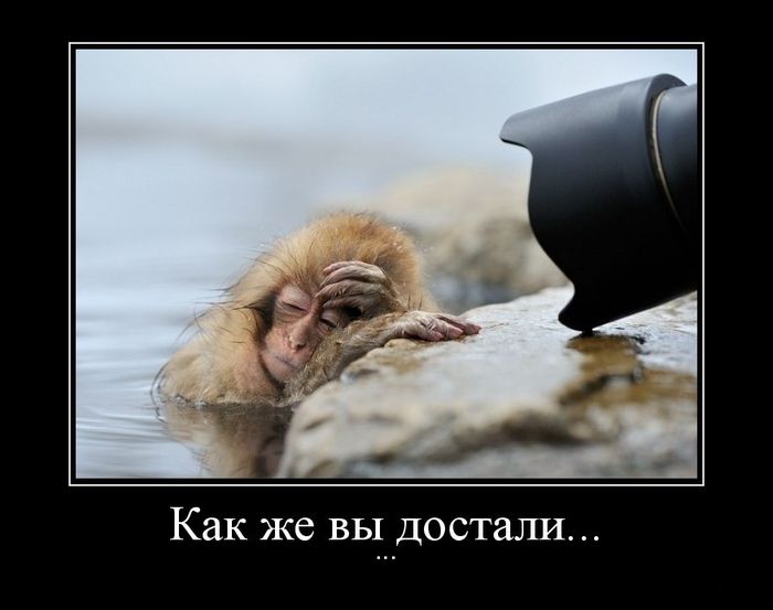 Как же вы достали