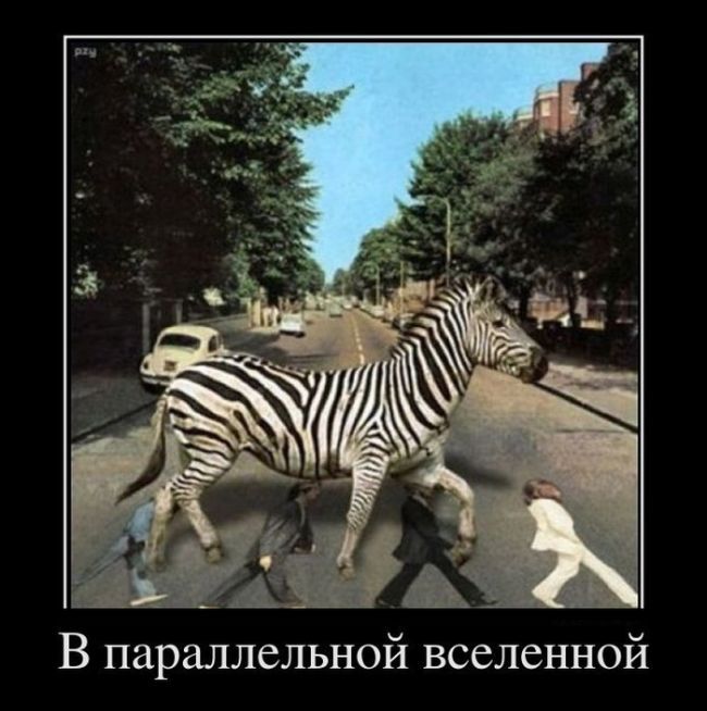 В параллельной вселенной