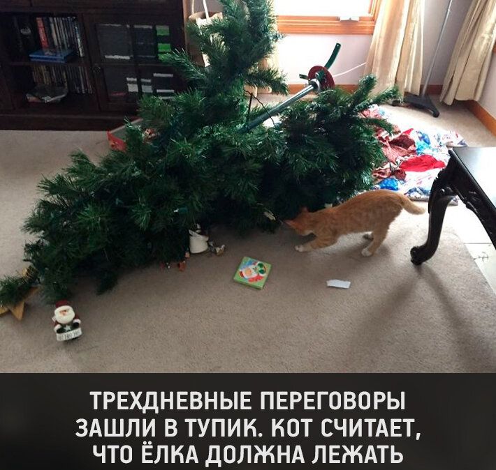 ТРЕХДНЕВНЫЕ ПЕРЕГОВОРЫ ЗАШЛИ В ТУПИН НОТ СЧИТАЕТ ЧТО ЁЛКА ДОЛЖНА ЛЕЖАТЬ