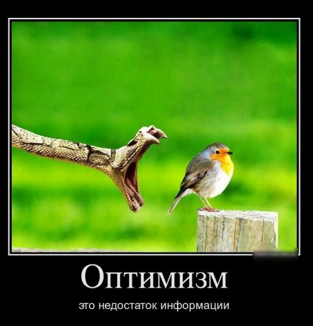 Оптимизм ЭТО НЕДОСТЗТОК информации