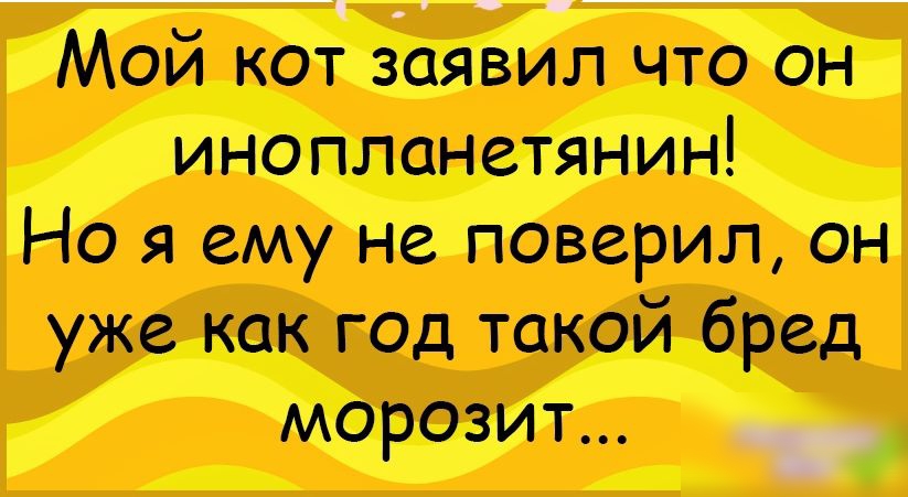 Мой кот заявил что он инопланетянин Но я ему не поверил он уже как год такой бред морозит