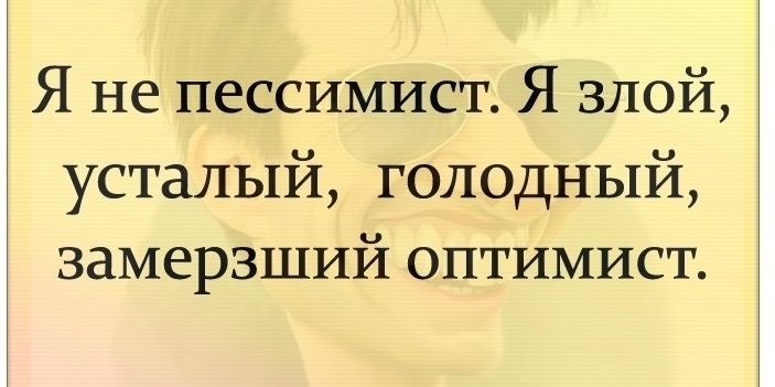 Я не пессимист Я злой усталый голодный замерзший оптимист