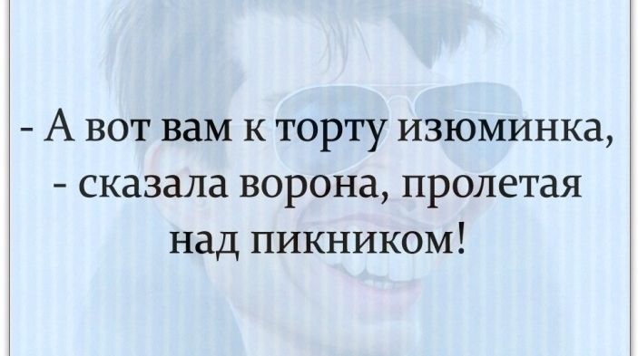 А вот вам к торту изюминка сказала ворона пролетая над пикником