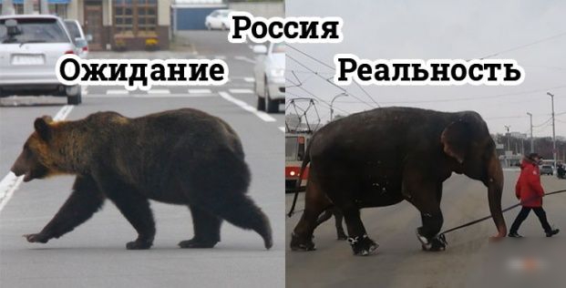 зёщщРоссия Ожидание Реальность
