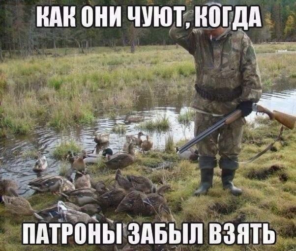 НАН ОНИ ЧУЮТ ВИДА Б ЗАБЫЛ ВЗЯТЬ