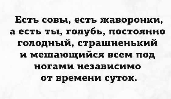 Есть совы есть жаворонки а есть ты голубь постоянно голодный страшненький и мешающийся всем под ногами независимо от времени суток