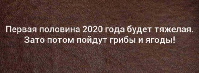 Первая половина 2020 года будет тяжелая Зато потом пойдут грибы и ягоды