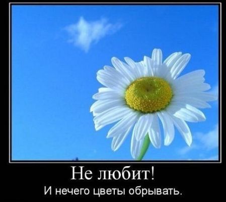 Не любит И нечего цветы обрывать