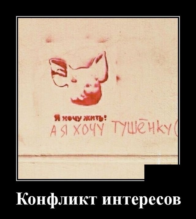 Конфликт интересов