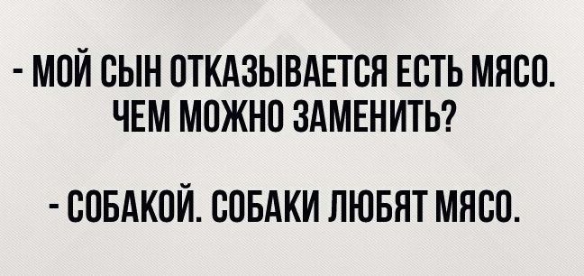 МОЙ СЫН ОТКАЗЫВАЕТСЯ ЕСТЬ МЯСО ЧЕМ МОЖНО ЗАМЕНИТЬ СОБАКОЙ СОБАКИ ЛЮБЯТ МЯСО