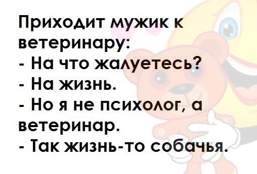 Приходит мужик к ветеринару На что жсмуетесь Но жизнь Но я не ПСИХОАОГ ветеринар Так жизнь то собачья