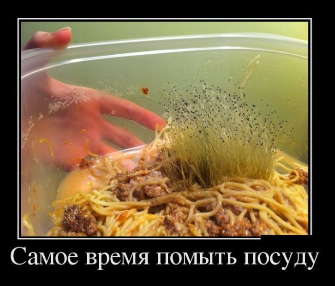 Самое время помыть посуду