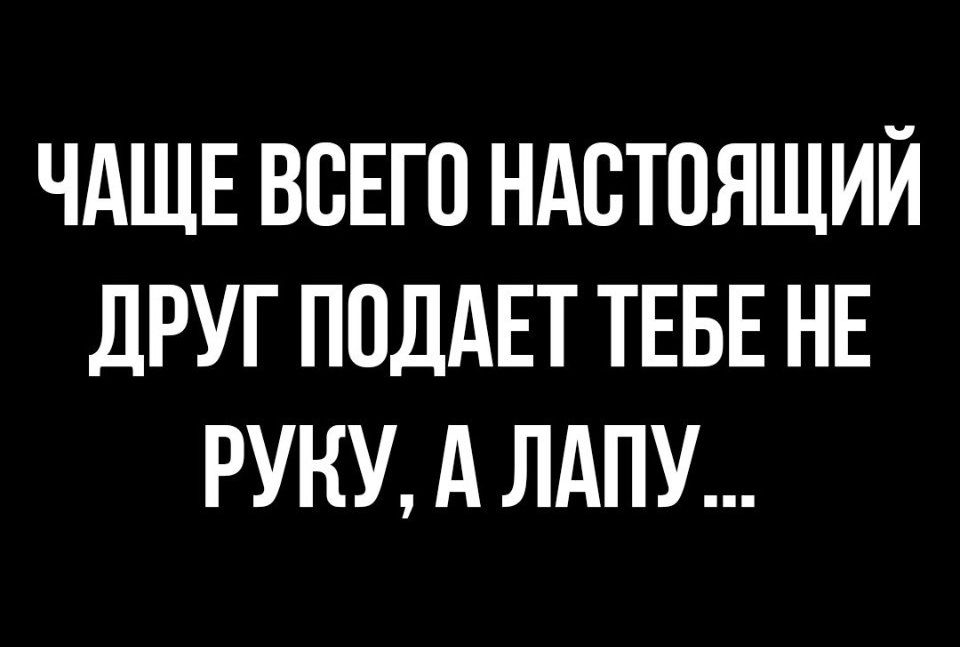 ЧАЩЕ ВСЕГО НАСТОЯЩИЙ дРУГ ПОДАЕТ ТЕБЕ НЕ РУКУ А ЛАПУ