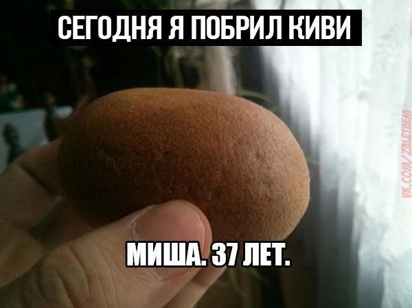 сЕгодня я іоЪРй киви МИША 31 ЛЕТ