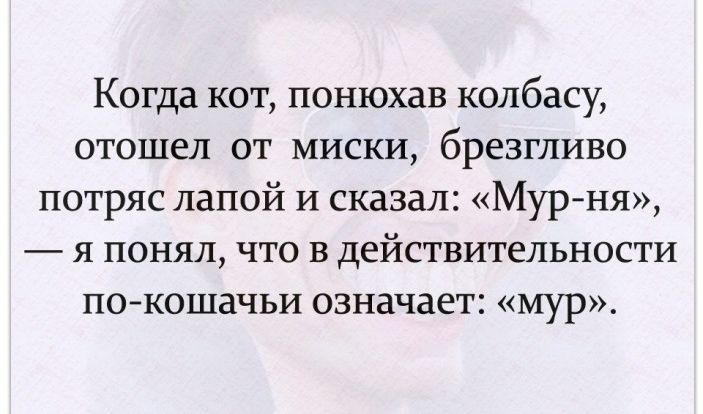 Когда кот понюхав колбасу отошел от миски брезгливо потряс папой и сказал Мурня я понял что в действительности по кошачьи означает мур