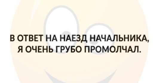 В ОТВЕТ НА НАЕЗД НАЧАЛЬНИКА Я ОЧЕНЬ ГРУБО ПРОМОЛЧАЛ