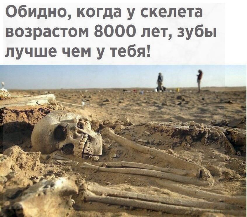 Обидно когда у скелета возрастом 8000 лет зубы лучше чем у тебя