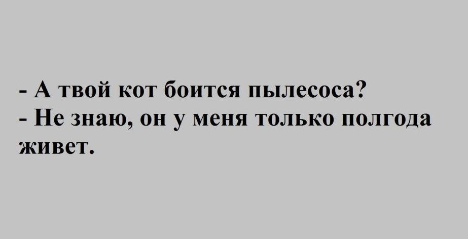 А твой кот боится пылесоса Не знаю он у меня только полгода живет