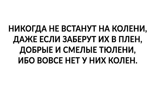 НИКОГДА НЕ ВСТАНУТ НА КОЛЕНИ дАЖЕ ЕСЛИ ЗАБЕРУТ ИХ В ПЛЕН ДОБРЫЕ И СМЕЛЫЕ ТЮЛЕНИ ИБО ВОВСЕ НЕТ У НИХ КОЛЕН