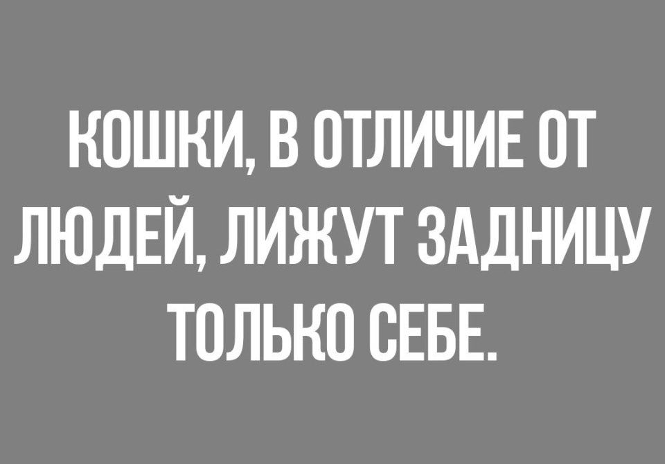 КОШКИ В ОТЛИЧИЕ ОТ ЛЮДЕЙ ЛИЖУТ ЗАДНИЦУ ТОЛЬКО ОЕБЕ