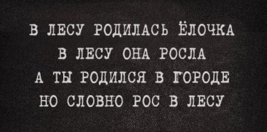 В ЛЕСУ РОДИЛАСЬ ЁЛОЧКА В ЛЕСУ ОНА РОСЛА А ТЫ РОДИЛСЯ В ГОРОДЕ НО СЛОВНО РОС В ЛЕСУ