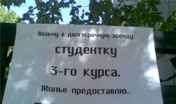 Вшьму в допгпцшчнуш аренду студентку 3го курса Жилье предоставпю