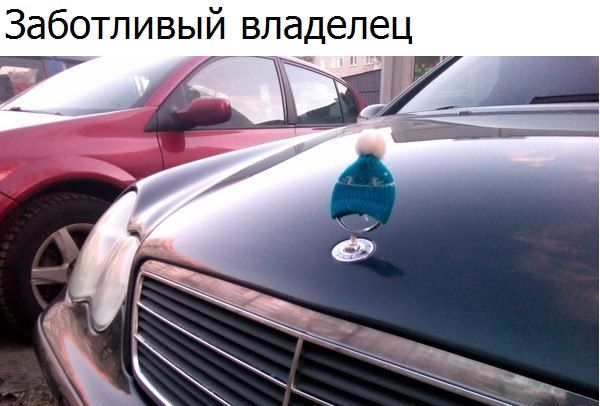 Заботливый владелец