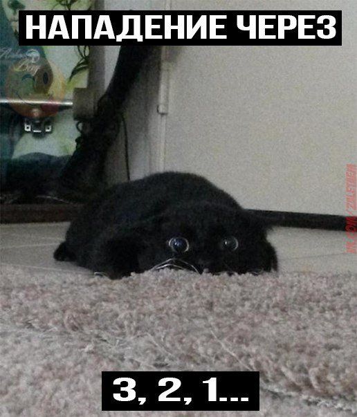 НАПАДЕНИЕ ЧЕРЕЗ