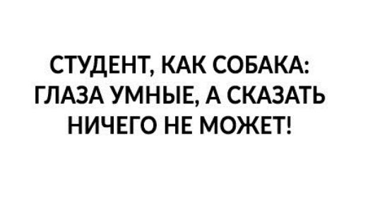 СТУДЕНТ КАК СОБАКА ГЛАЗА УМНЫЕ А СКАЗАТЬ НИЧЕГО НЕ МОЖЕТ