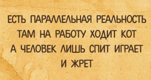 ЕСТЬ ПАРАМЕАЬНАЯ РЕАЬНОСТЬ ТАМ НА РАБОТУ ходит кот д А чыоввк АИШЬ спит ИГРАЕТ и жрвг