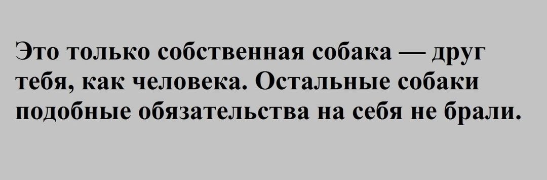Это только собственная собака друг тебя как человека Остальные собаки подобные обязательства на себя не брали