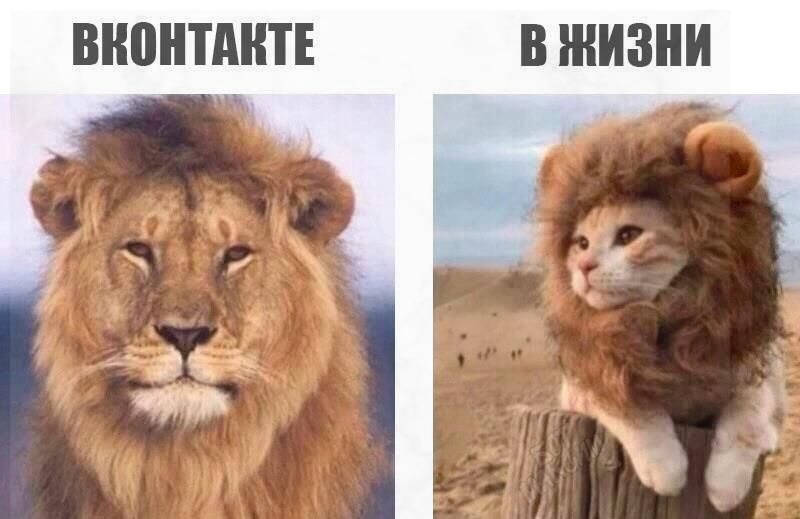 ВНВНТАНТЕ В ЖИЗНИ